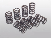 Valve Springs Gene Berg