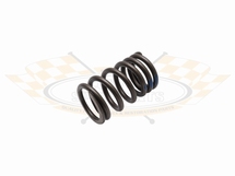 Valve Spring Standard Type-1