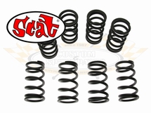 Valve Springs SCAT Heavy Duty