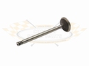 Exhaust Valve 