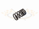 Valve Spring Standard Type-1 