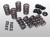 Valve Springs complete set Dual 